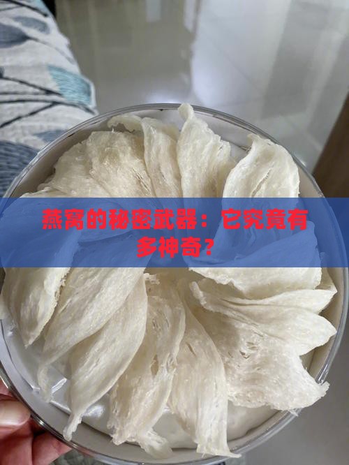燕窝能起到什么作用呢