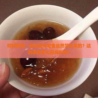 燕窝是金丝燕怎么形成的