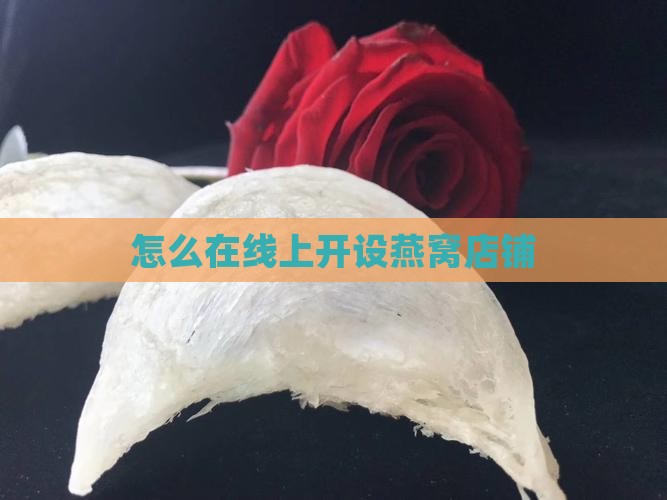 燕窝网购店铺怎么开的