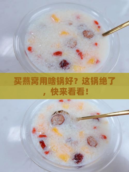 燕窝买什么样的锅比较好