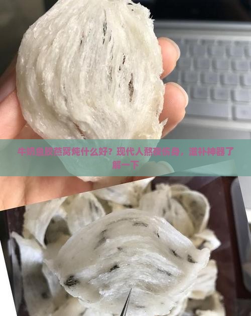 牛奶鱼胶燕窝炖什么好
