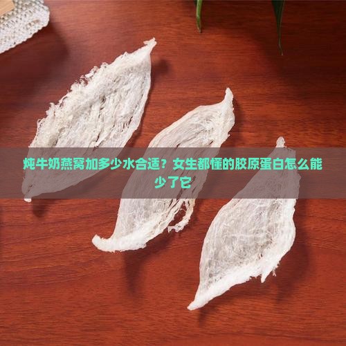 炖牛奶燕窝加多少水合适