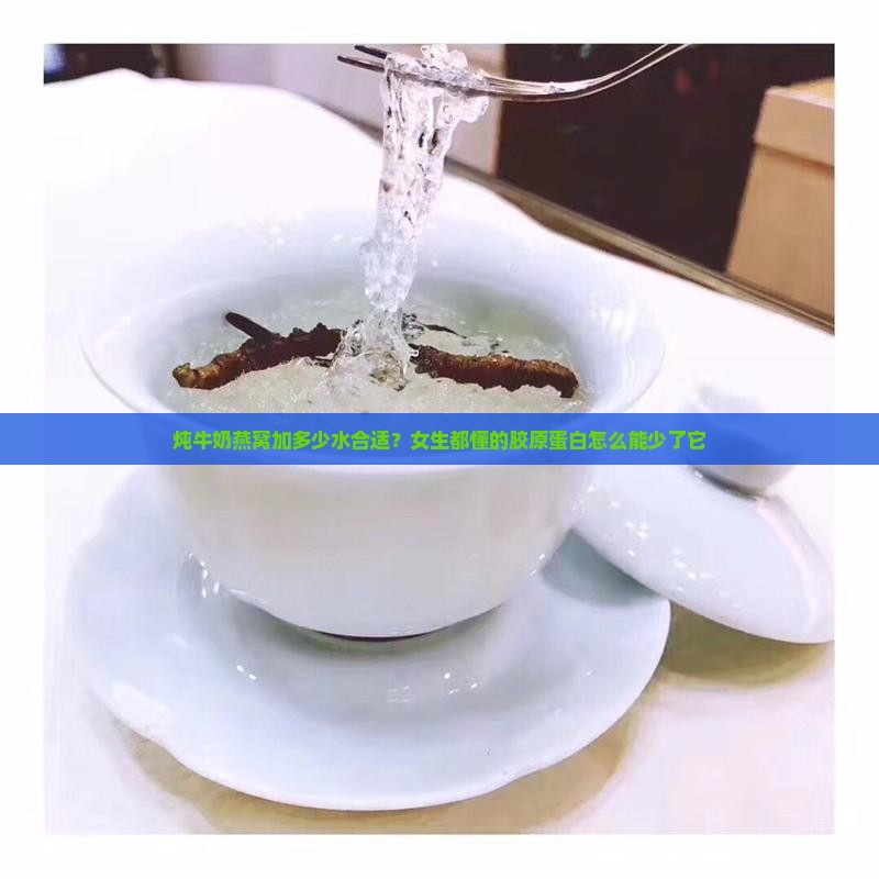炖牛奶燕窝加多少水合适