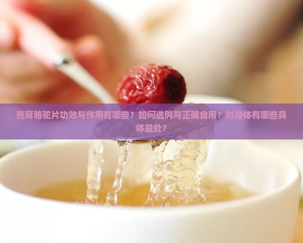 燕窝骆驼片有什么作用 燕窝骆驼片有什么作用