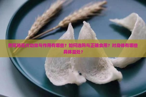 燕窝骆驼片有什么作用 燕窝骆驼片有什么作用