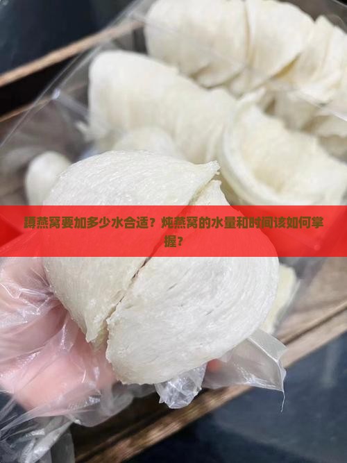 蹲燕窝要加多少水合适
