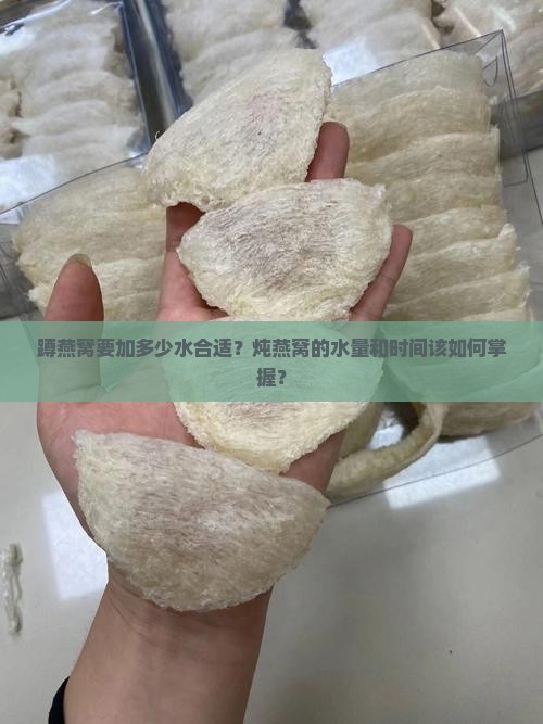 蹲燕窝要加多少水合适