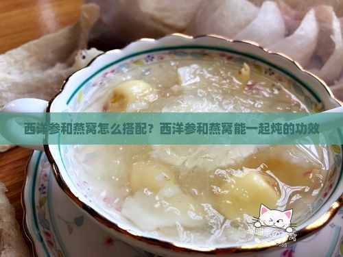 西洋参和燕窝怎么搭配