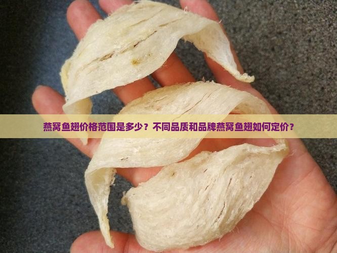 燕窝鱼翅是什么价位的