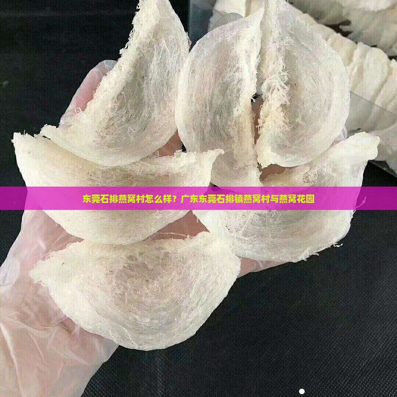 东莞石排燕窝村怎么样