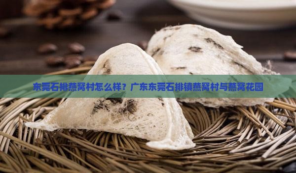 东莞石排燕窝村怎么样