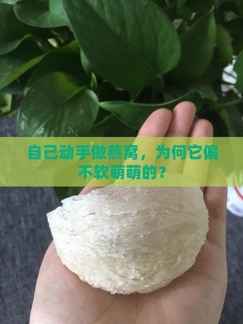 燕窝自己做不软怎么回事