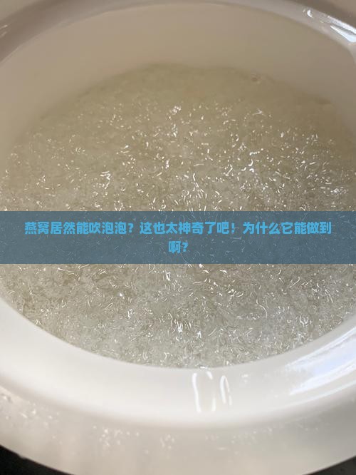 燕窝可以吹泡泡吗为什么
