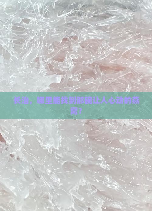 长治什么地方买燕窝好些