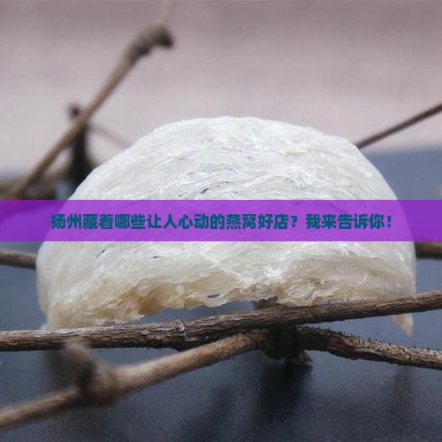 扬州燕窝专卖店有哪些