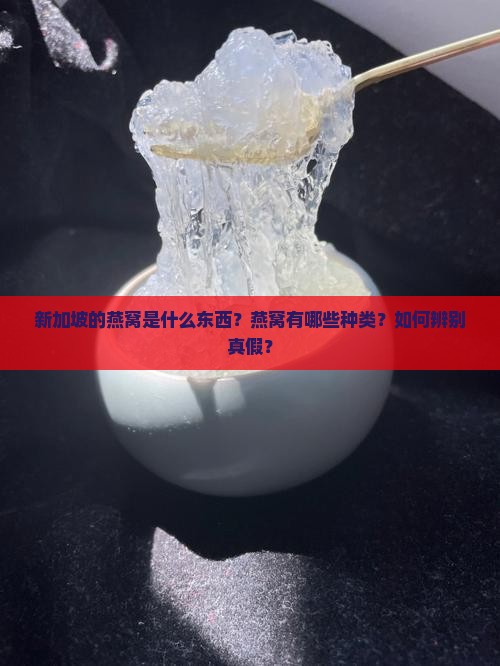 新加坡的燕窝是什么东西