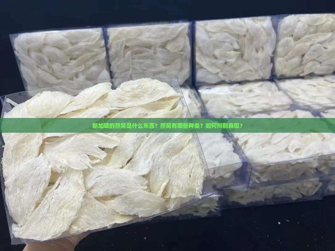 新加坡的燕窝是什么东西