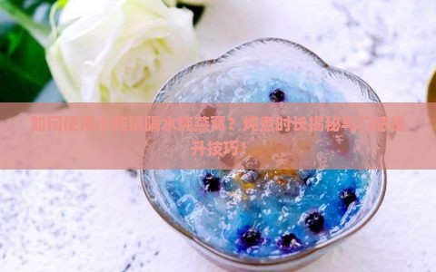 小炖锅隔水炖燕窝多久