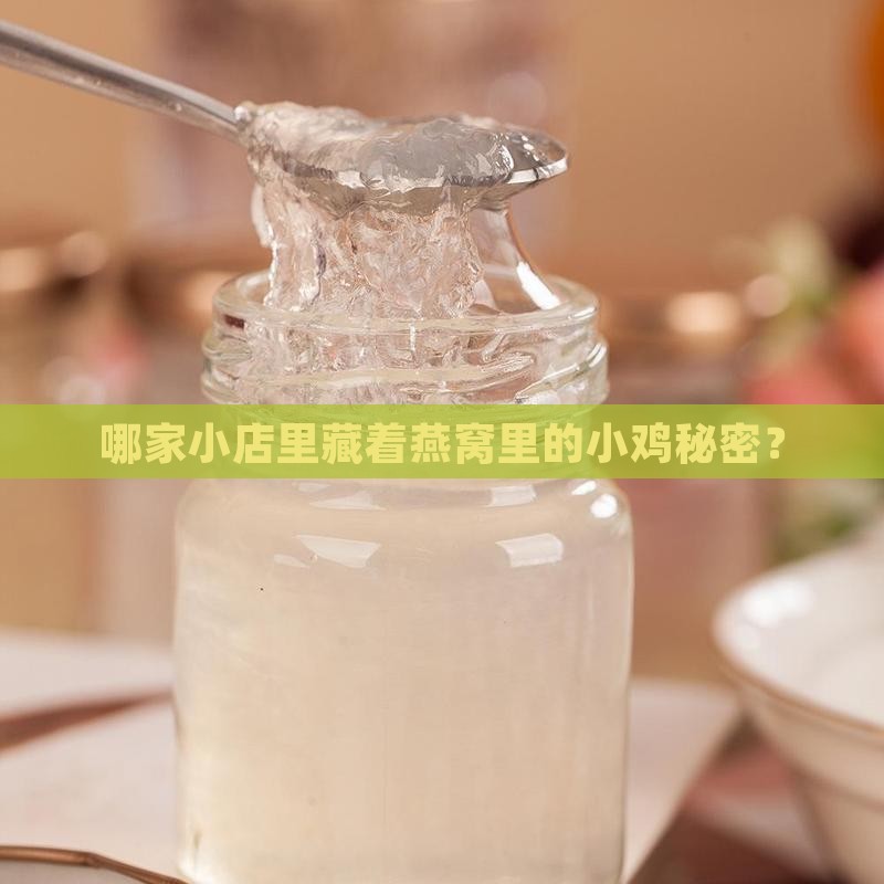 燕窝哪里有卖小鸡的店面
