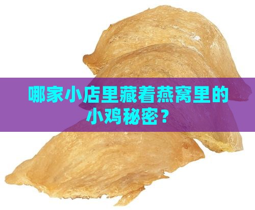 燕窝哪里有卖小鸡的店面