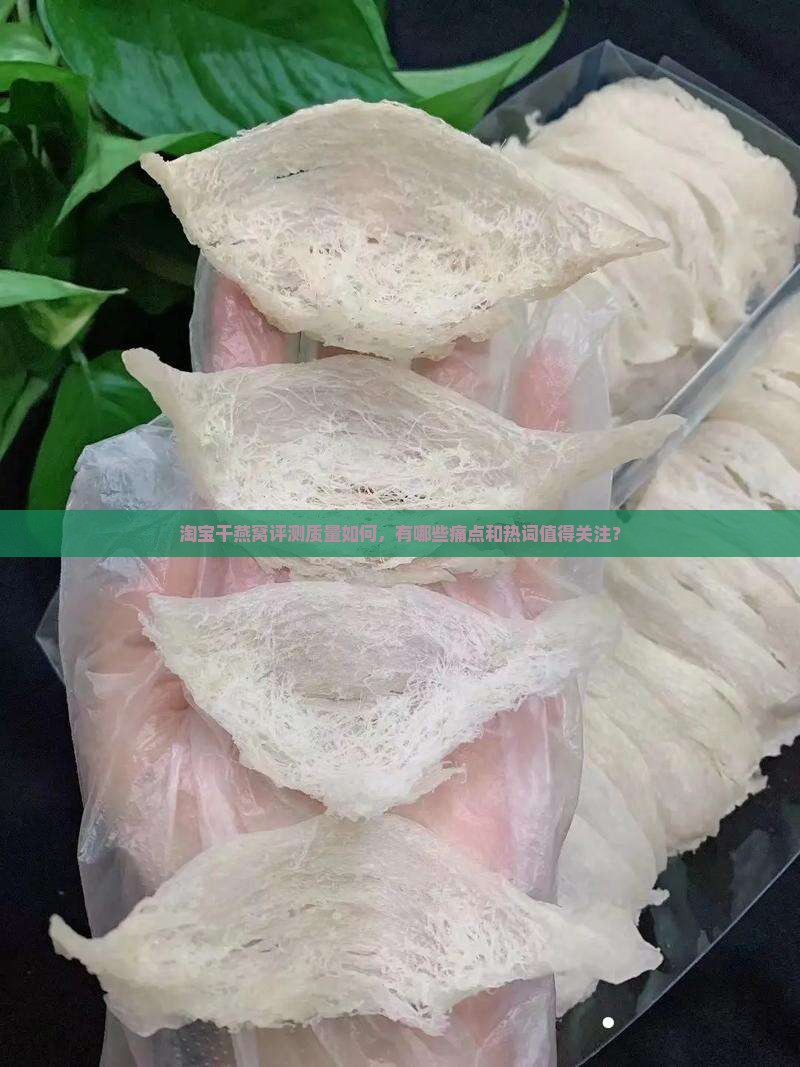 淘宝干燕窝评测怎么样