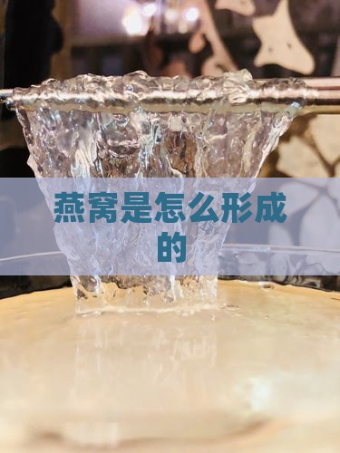 燕窝是为了什么而生长的