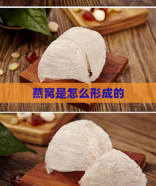 燕窝是为了什么而生长的