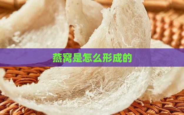 燕窝是为了什么而生长的