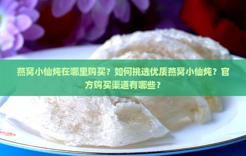 燕窝小仙炖在哪里购买