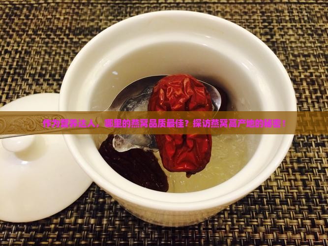 最好的燕窝是哪里产的