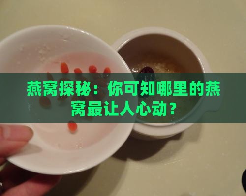 燕窝一般到什么地方去买