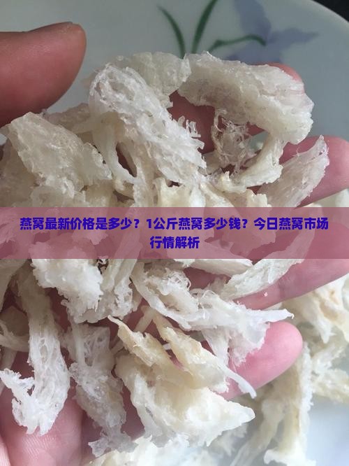 燕窝今天多少钱1公斤呢