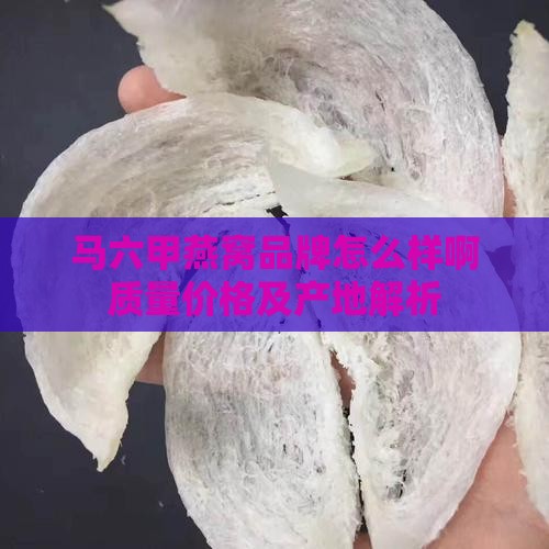 马六甲燕窝品牌怎么样啊
