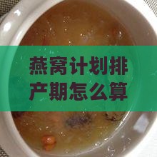 燕窝计划排产期怎么算