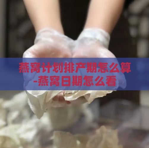燕窝计划排产期怎么算