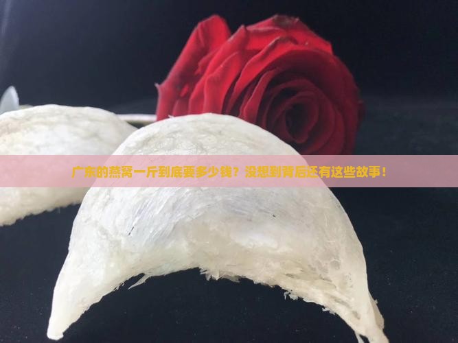 广东燕窝价格是多少一斤