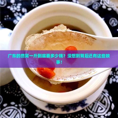 广东燕窝价格是多少一斤