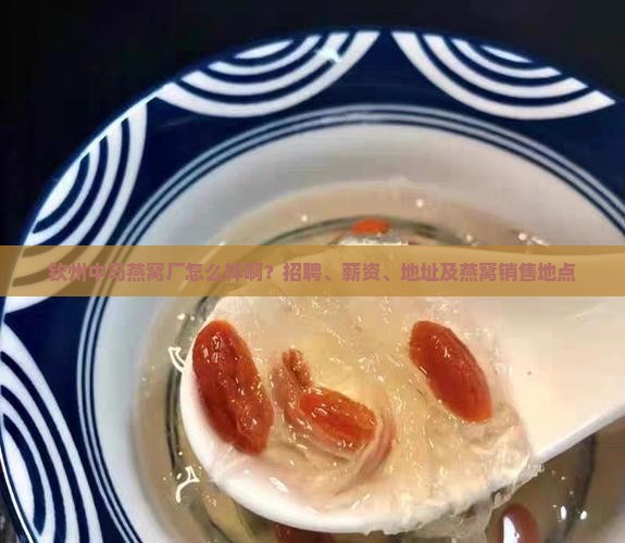 钦州中马燕窝厂怎么样啊