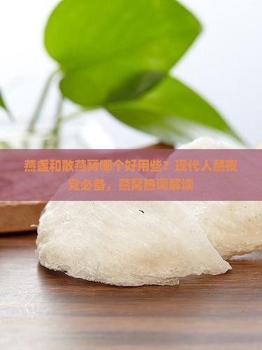 燕盏和散燕窝哪个好用些