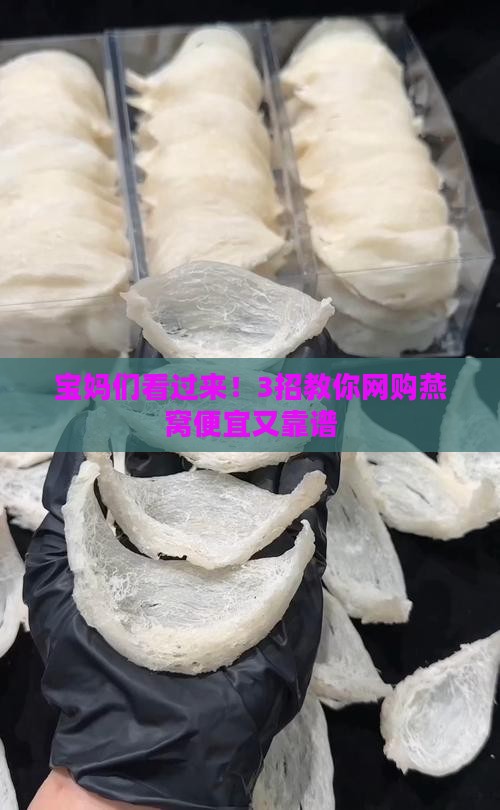 燕窝要怎么买衣服便宜