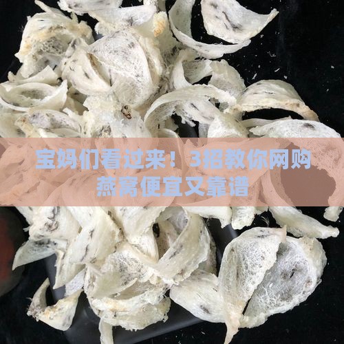 燕窝要怎么买衣服便宜