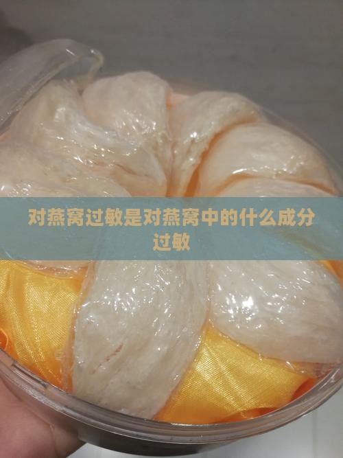 对燕窝过敏是对什么过敏