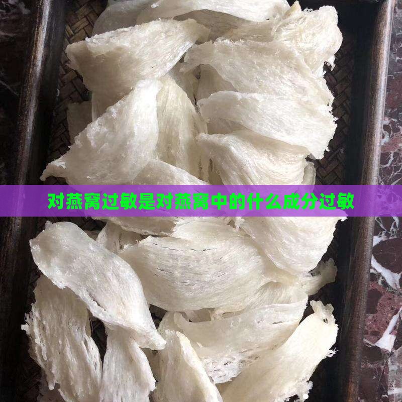 对燕窝过敏是对什么过敏