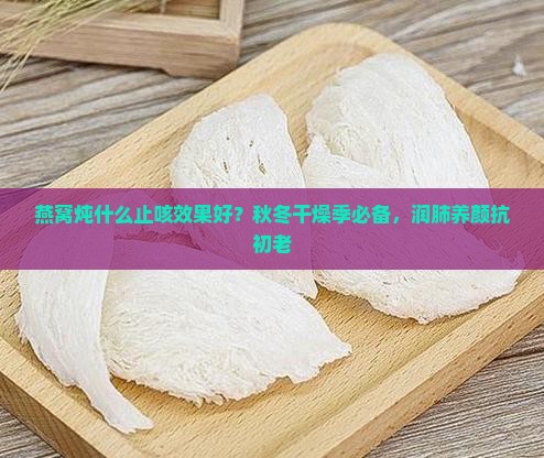 燕窝炖什么止咳效果好