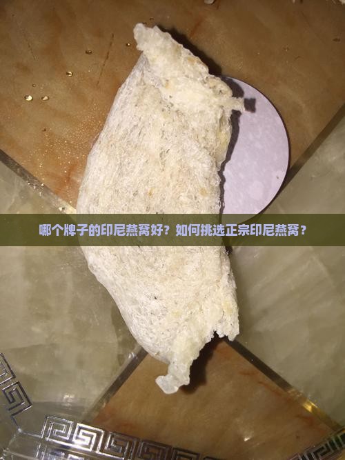 正宗印尼燕窝哪个牌子好