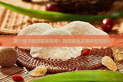 正宗印尼燕窝哪个牌子好