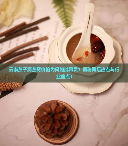 云南燕子洞的燕窝多少钱