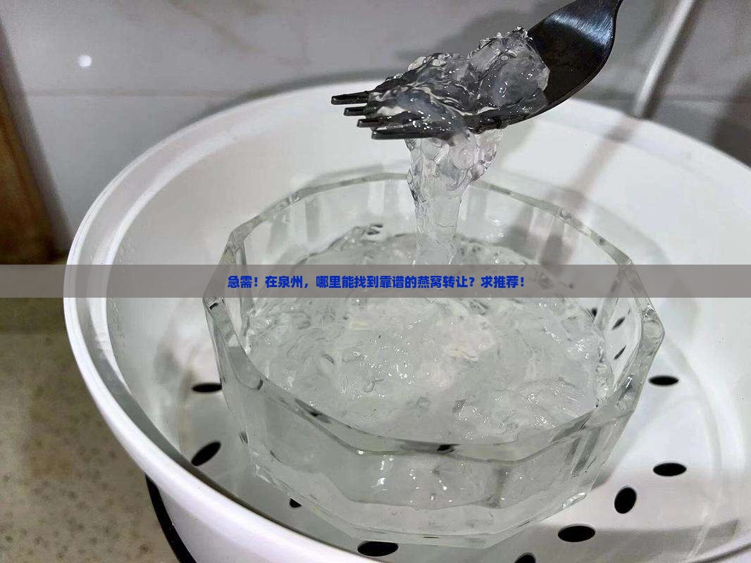 泉州哪里有转让燕窝的