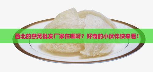 西北燕窝批发厂家在哪里