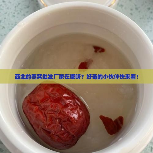西北燕窝批发厂家在哪里